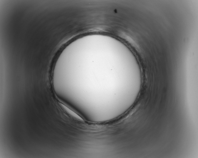 X0000088091308200706081742