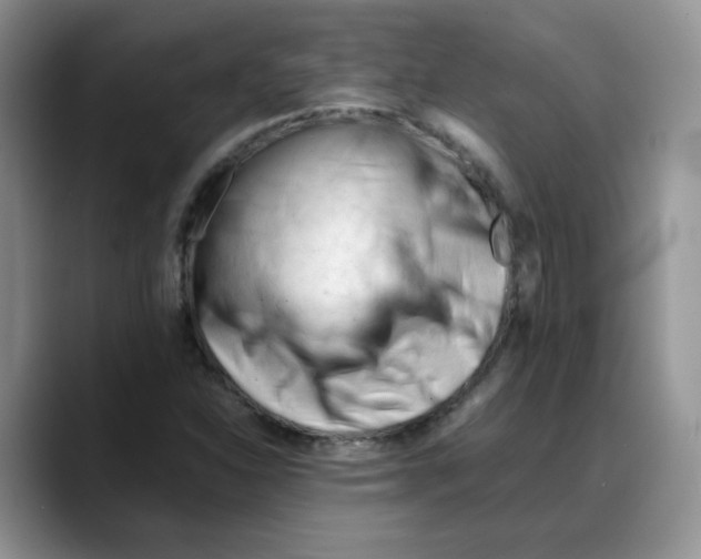 X0000088091310200706081742