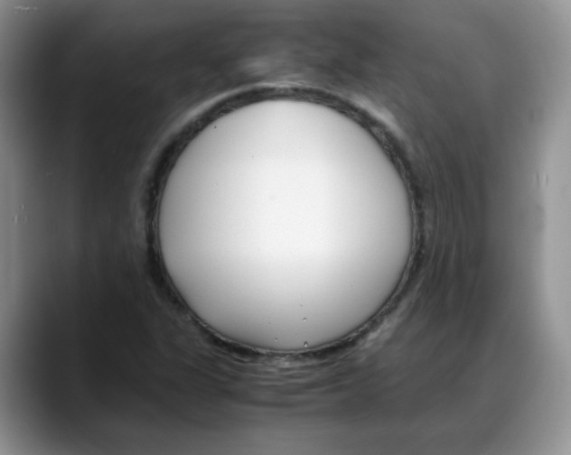 X0000088091311200706081742