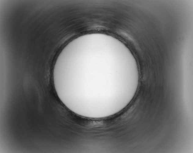 X0000088091313200706081742
