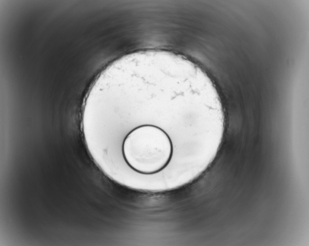 X0000088091314200706081742