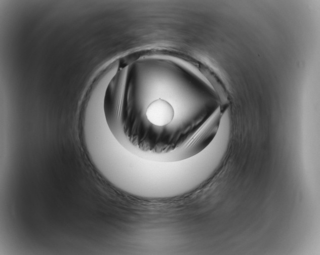 X0000088091316200706081742