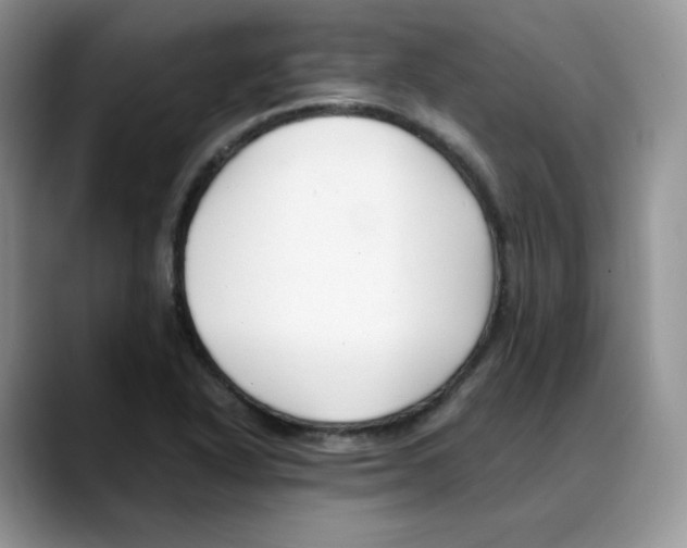 X0000088091318200706081742
