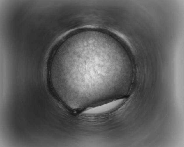 X0000088091319200706081742