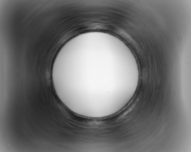 X0000088091321200706081742