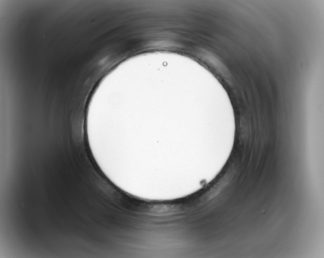 X0000088091322200706081742