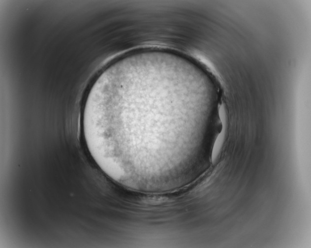X0000088091323200706081742