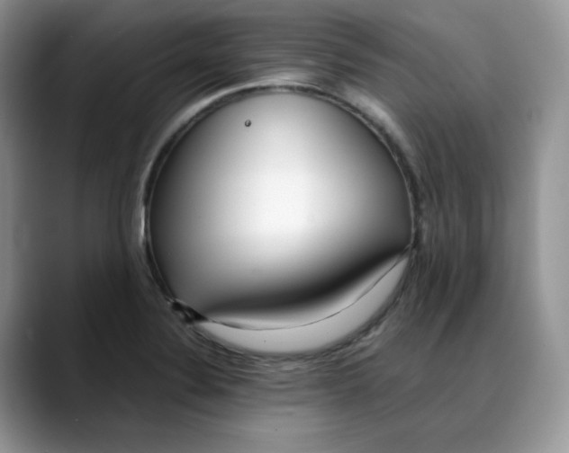 X0000088091324200706081742