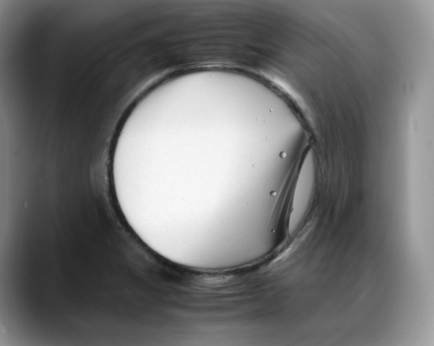 X0000088091325200706081742