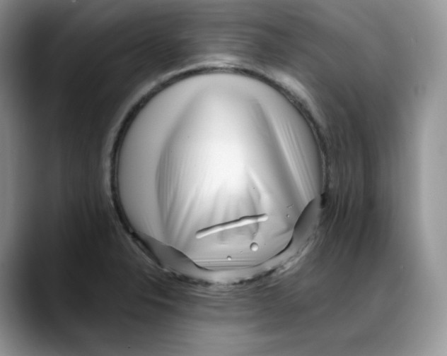 X0000088091326200706081742