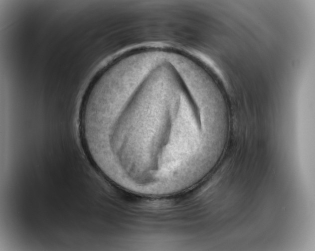 X0000088091327200706081742