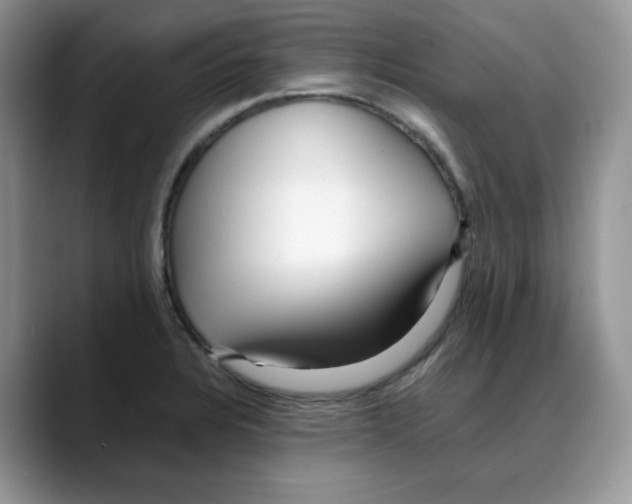 X0000088091328200706081742