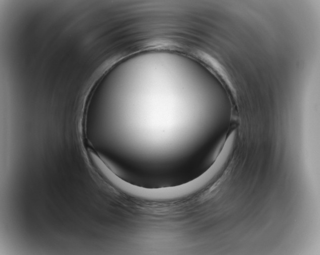 X0000088091330200706081742