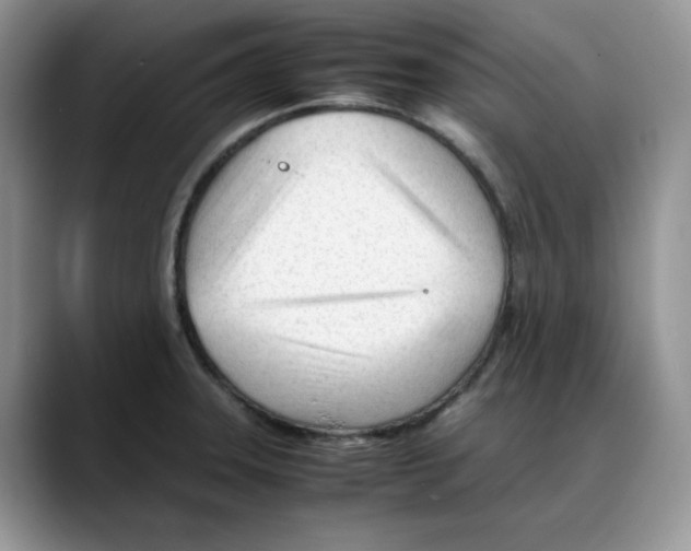 X0000088091331200706081742