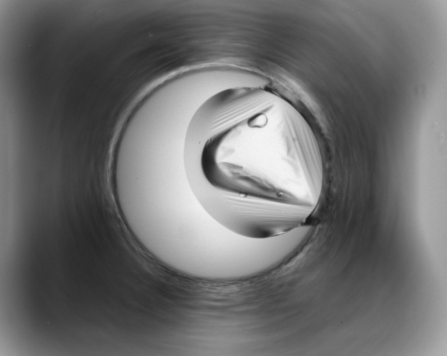 X0000088091332200706081742