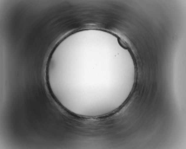 X0000088091333200706081742