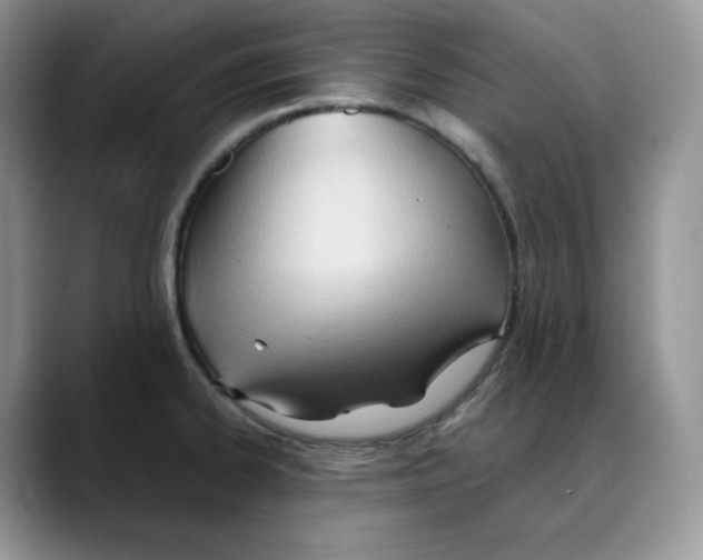 X0000088091334200706081742