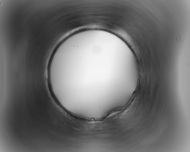 X0000088091335200706081742
