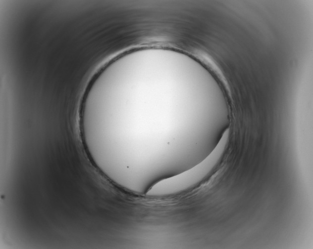 X0000088091336200706081742