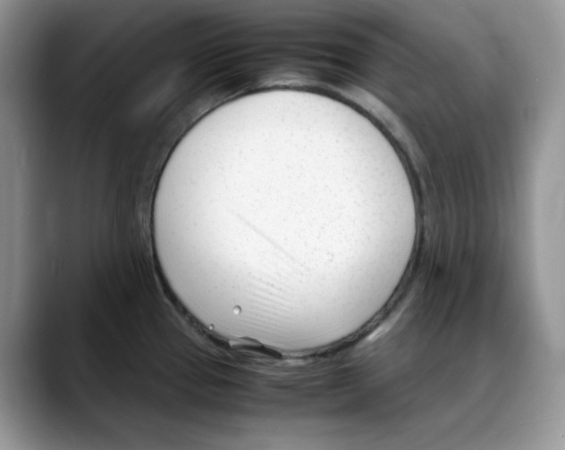 X0000088091337200706081742
