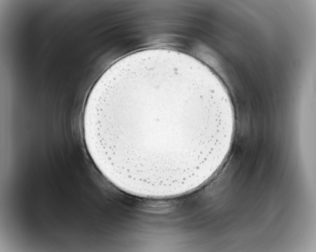 X0000088091338200706081742