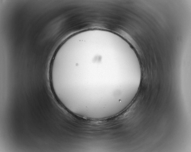 X0000088091339200706081742