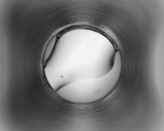 X0000088091340200706081742