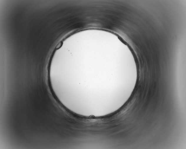 X0000088091341200706081742