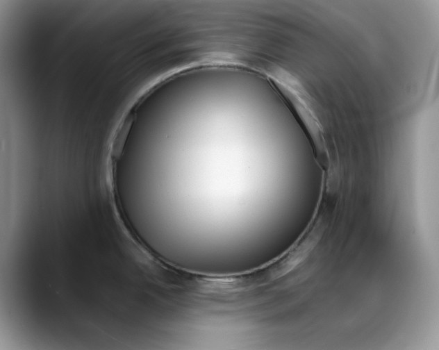 X0000088091342200706081742