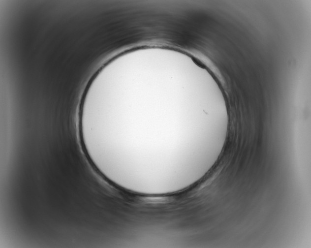 X0000088091343200706081742