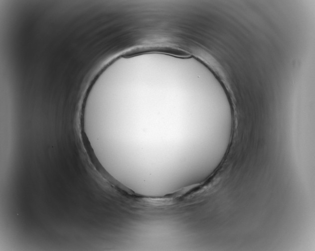X0000088091344200706081742