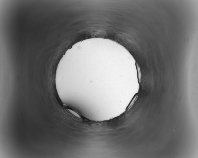 X0000088091345200706081742