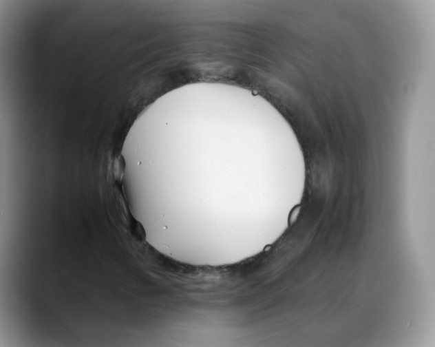 X0000088091346200706081742
