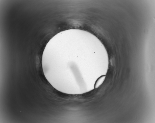 X0000088091347200706081742