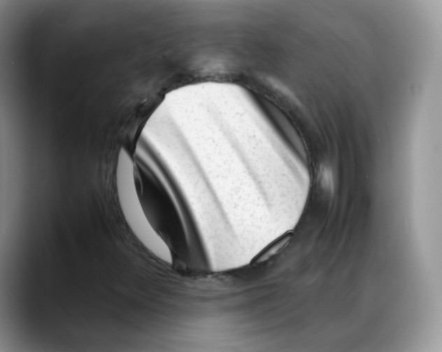 X0000088091348200706081742