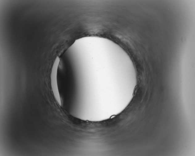 X0000088091349200706081742