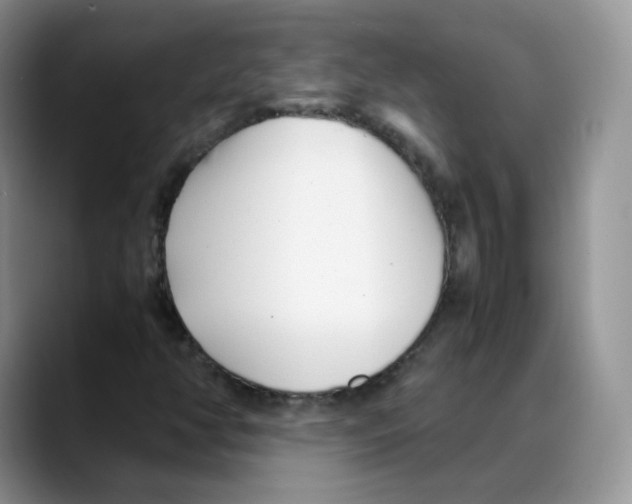 X0000088091350200706081742