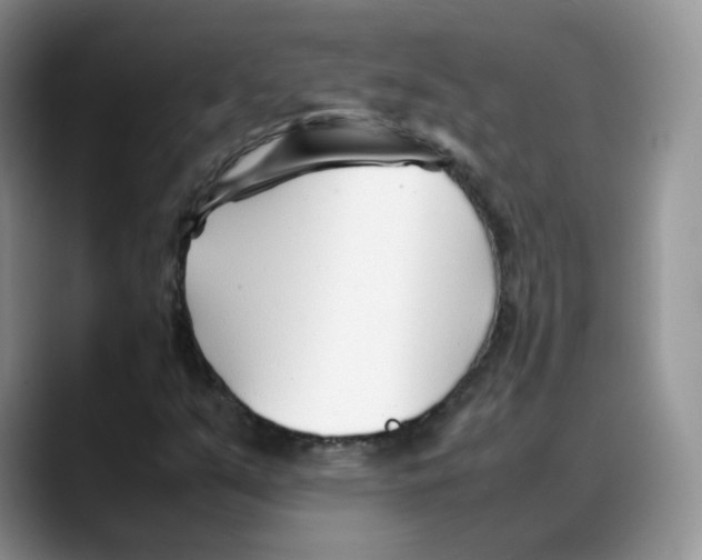 X0000088091351200706081742
