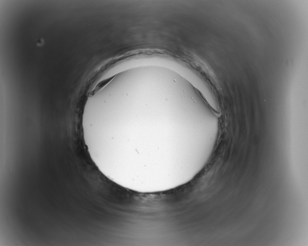X0000088091352200706081742