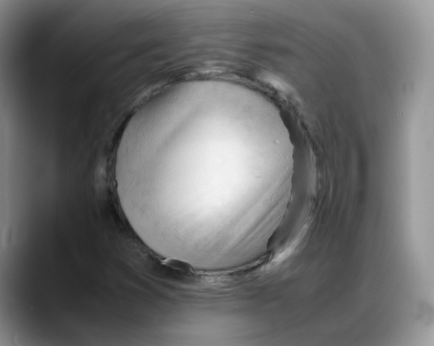 X0000088091353200706081742