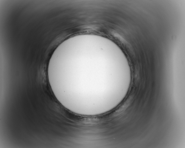 X0000088091354200706081742