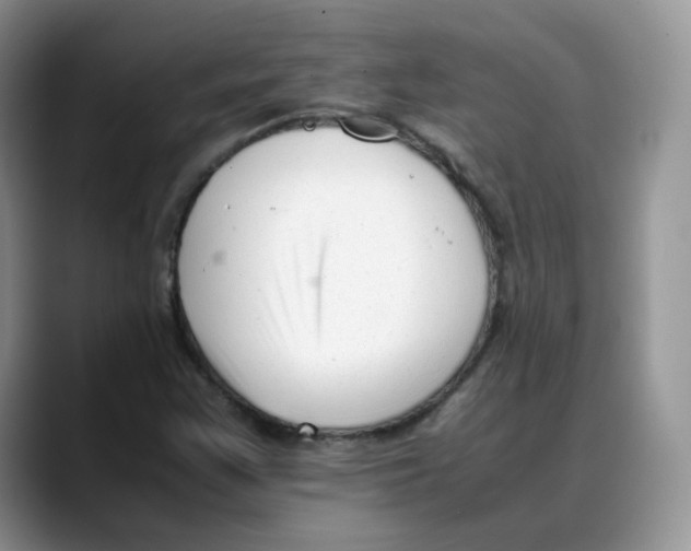 X0000088091355200706081742