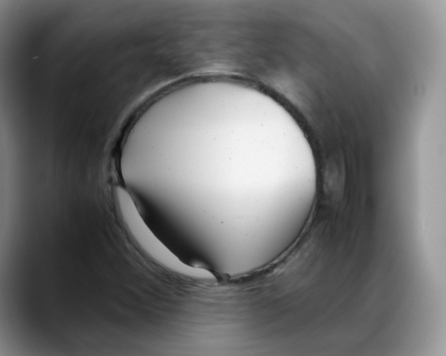 X0000088091356200706081742
