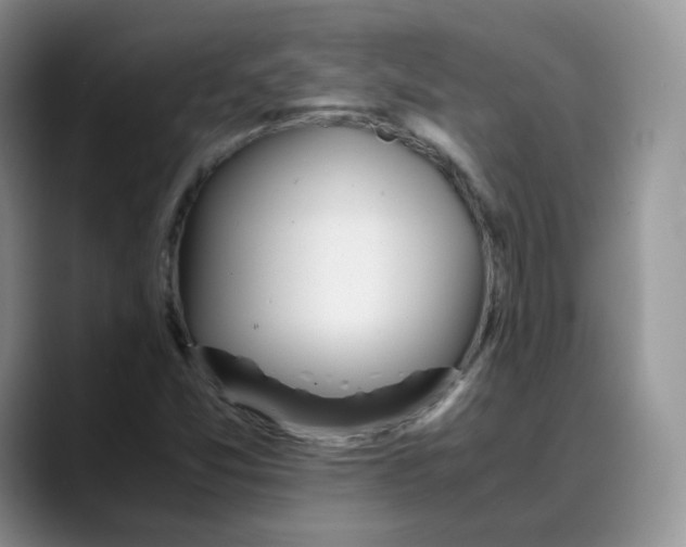 X0000088091357200706081742