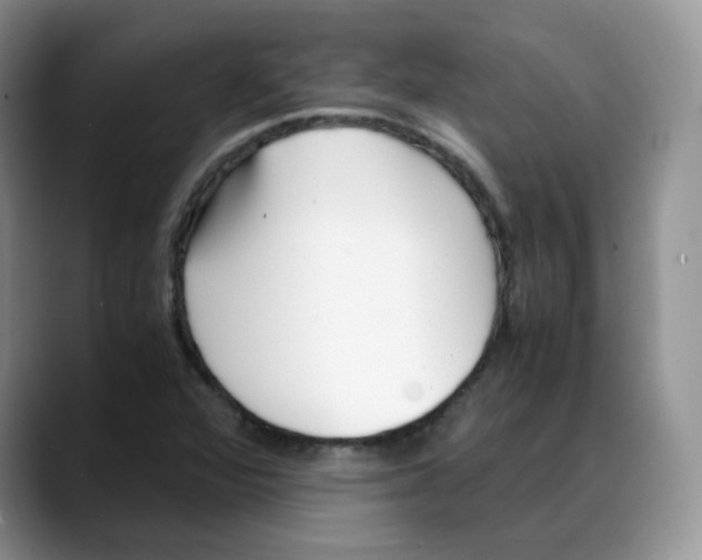X0000088091360200706081742