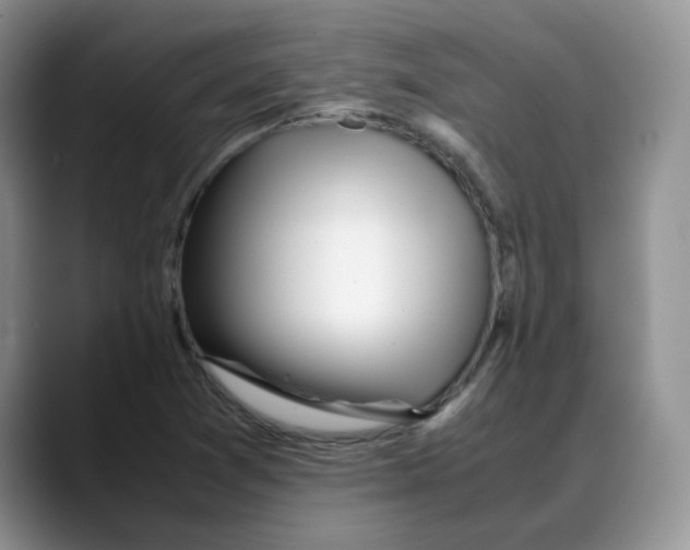X0000088091361200706081742