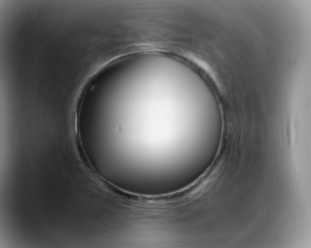 X0000088091365200706081741