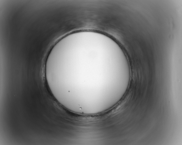 X0000088091366200706081741