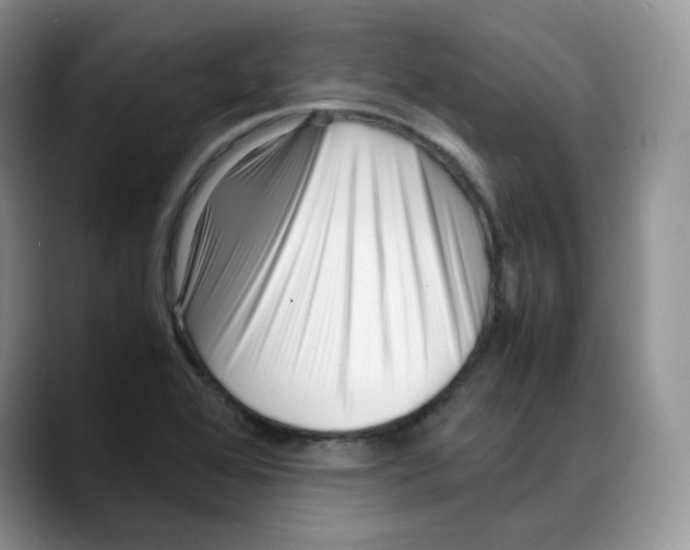 X0000088091368200706081741