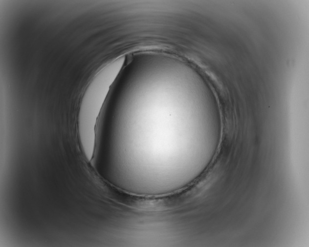 X0000088091369200706081741